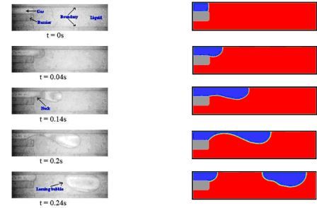 Bubble generation in a co-flowing microchannel